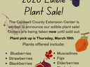 Flyer with different fruits and information about the plant sale