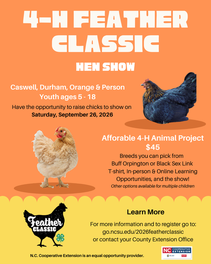 Registration will close on February 28 at 5:00 P.M. The 4-H Feather Classic is a regional 4-H poultry project and show for youth residing in the North Carolina counties of Caswell, Durham, Orange, and Person. Participating youth in grades K-12 will raise six chicks at home and then exhibit three of their pullets (young laying hens) at the show on September 26th. Along the way, youth will learn animal care and handling skills, participate in webinars to learn more about poultry science, and complete a 4-H project record book. Awards will be presented at the show. Click here to access additional information about the Feather Classic: go.ncsu.edu/2026featherclassic Show Timeline February 1:  Registration opens on Eventbrite at featherclassic.eventbrite.com. February 28 at 5:00 P.M.: Deadline to register. March-September: Participate in activities and webinars associated with the project (ex. Biosecurity best practices, caring for your birds, showmanship clinic, record book tips and tricks) Week of April 27th (TBD): Pick up your chicks from your county Extension Office. September 26th: Official 4-H Feather Classic Show Date.  The show will be held in Roxboro, NC. REGISTRATION VIA EVENTBRITE IS REQUIRED TO PURCHASE YOUR CHICKS AND SHIRT THAT YOU WILL RECEIVE IN APRIL. ADDITIONAL SHOW REGISTRATION STEPS WILL BE COMPLETED IN 4-H ONLINE. You will pick up your kit including your six chicks and a show t-shirt from your county Extension office in mid-APRIL (estimated week of April 27th). Participants MUST be registered and enrollment approved in their designated county at v2.4honline.com BEFORE registering for the 4-H Feather Classic. Participating youth must be aged 5-18 as of January 1, 2026 (per North Carolina 4-H rules). **Youth who are not registered in Eventbrite & 4-H Online by February 28th will NOT have birds ordred for them. Ticket Purchases are as follows: 4-H Member ($45)- 6 chicks & a t-shirt Additional 4-H Member ($25)- 2 extra chicks and a TShirt Additional 4-H Member ($15)- TShirt ONLY Participants are required to provide a brooder box, heat source, coop, feed, and water for their chicks. Some counties may have some brooding supplies that 4-Hers can borrow. So contact your county agent if interested. Youth exhibitors will receive six (6) female chicks in mid-April (date to be determined) and raise those chicks until the date of the show on Saturday, September 26, 2026. The show will be held in Roxboro, NC.