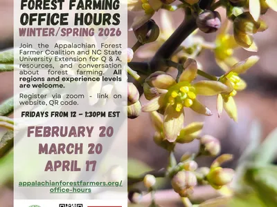 a flier describing the 2026 online forest farming office hours dates and description