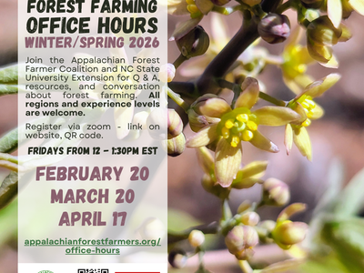a flier describing the 2026 online forest farming office hours dates and description
