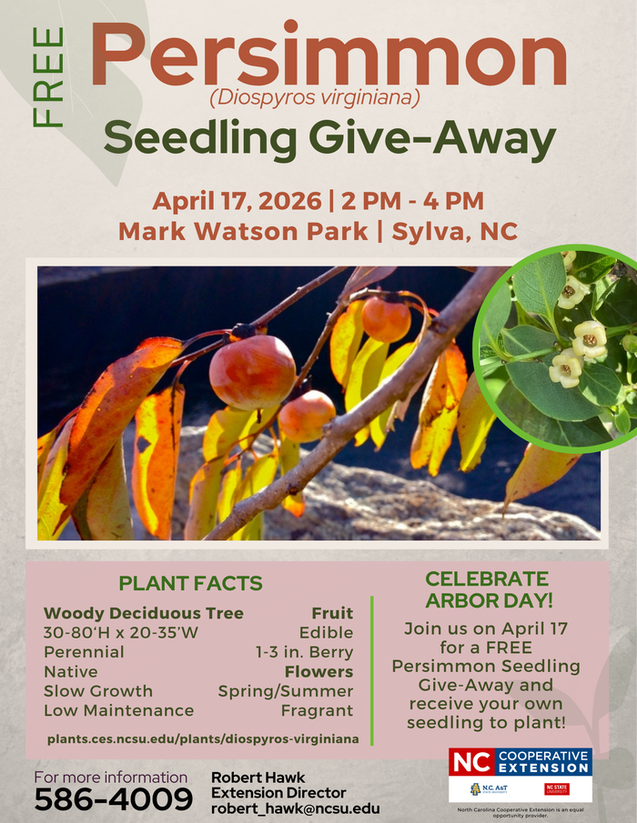 Persimmon Seedling Give-Away — April 17, 2026, 2–4 PM; Mark Watson Park, Sylva, NC