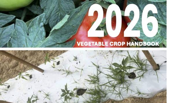 2026 Southeastern U.S. Vegetable Crop Handbook Is Now Online - Growing Small Farms | NC State Extension