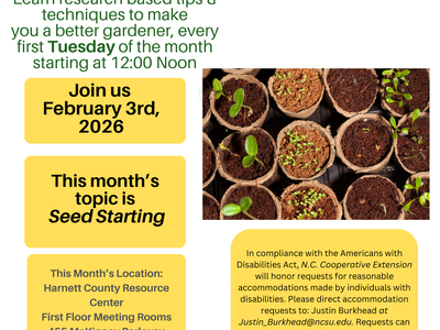 Lunch & Learn flyer: Seed Starting workshop Feb 3, 2026, Harnett County Resource Center
