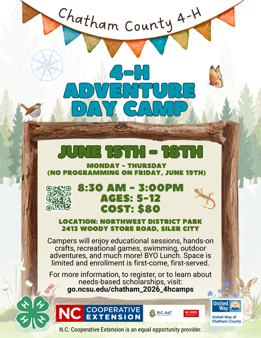4-H Adventure Day Camp Flyer
