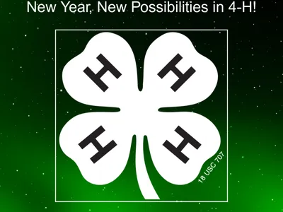 4-H Online