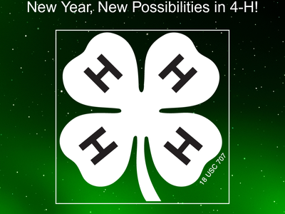 4-H online promotion