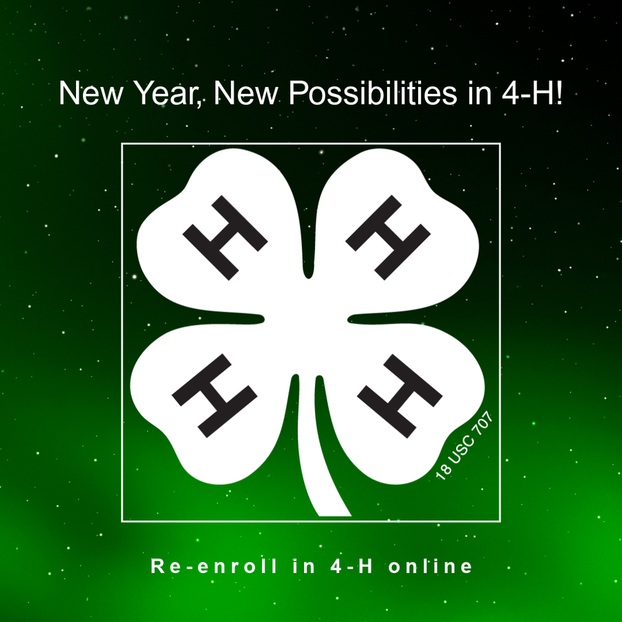 4-H online promotion