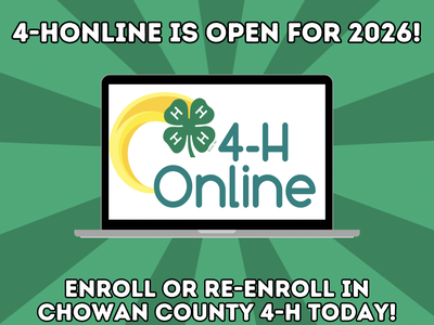 4-h online