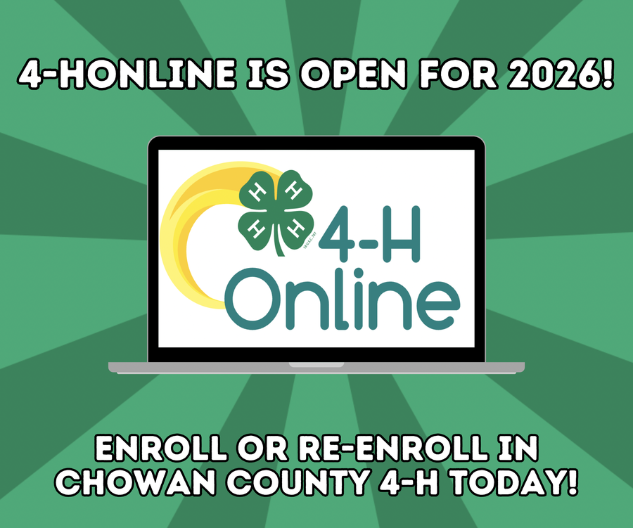 4-h online