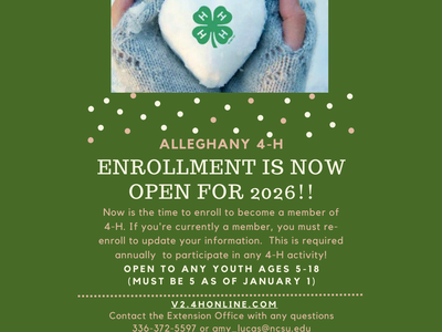 4h online enrollment flyer