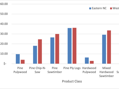 A clustered bar chart titled "Standing Timber Price ($/ton)" compares timber prices across two regions: Eastern NC (blue bars) and Western NC (red bars) for seven different Product Classes.