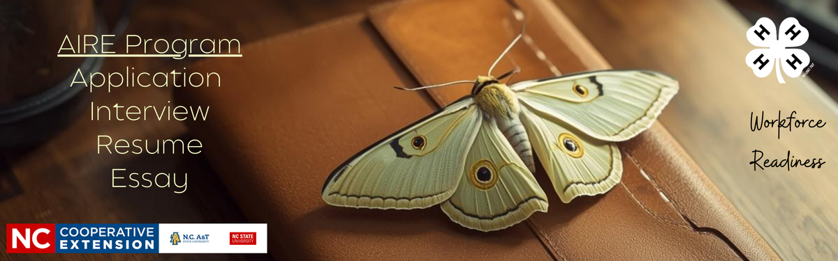 Application, Interview, Resume, Essay, AIRE program banner image of a luna moth on a notebook with "workforce Readiness" written on the right and a 4-H logo at the top