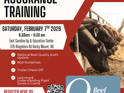 Beef Quality Assurance Training — Feb 7, 2026, 8:30–11:30am, Rocky Mount, NC