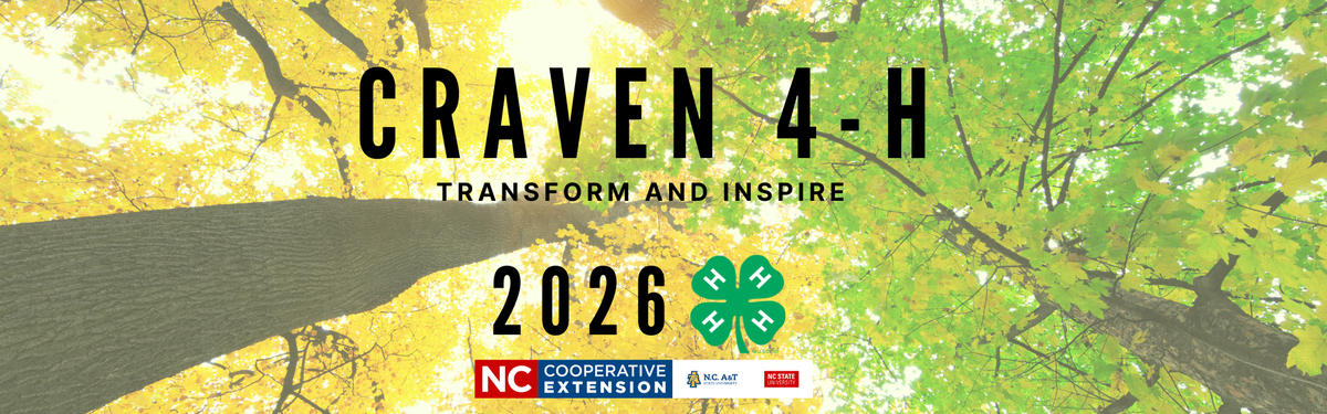Banner Image of trees with yellow and green foliage looking from the ground up with text that says "Craven 4-H Transform and Inspire 2026" with the 4-H Logo and the N.C. Cooperative Extension Logo