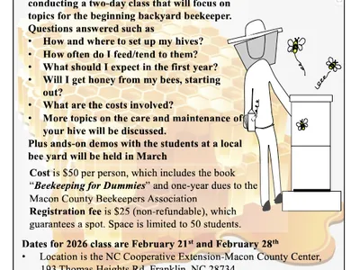 Bee School Flyer 2026