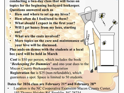 Bee School Flyer 2026