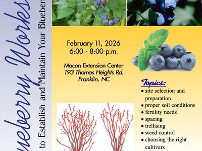 Blueberry Workshop