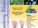 Blueberry Workshop