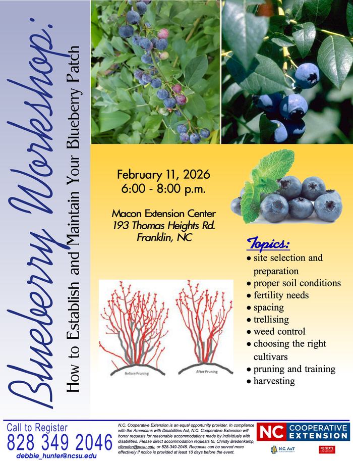 Blueberry Workshop