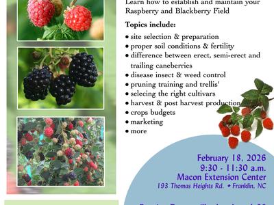 Caneberry Workshop Flyer