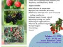 Caneberry Workshop Flyer