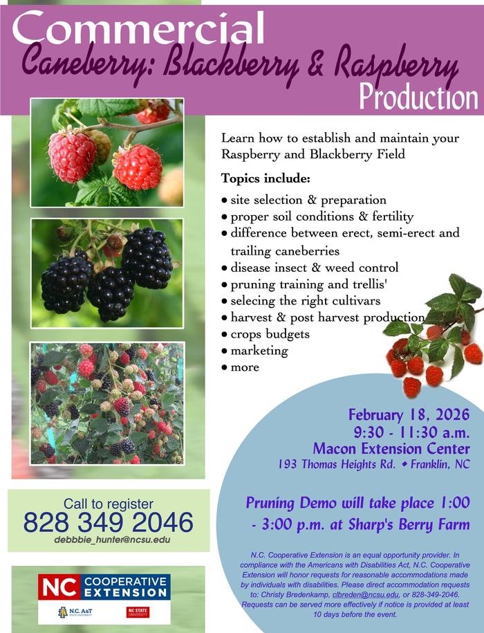 Caneberry Workshop Flyer