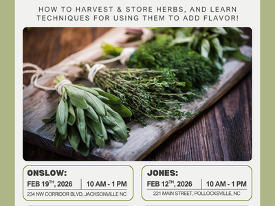 herbs class