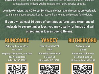 Timber Loss Relief Program for Forest Landowners flyer — workshop dates and county locations