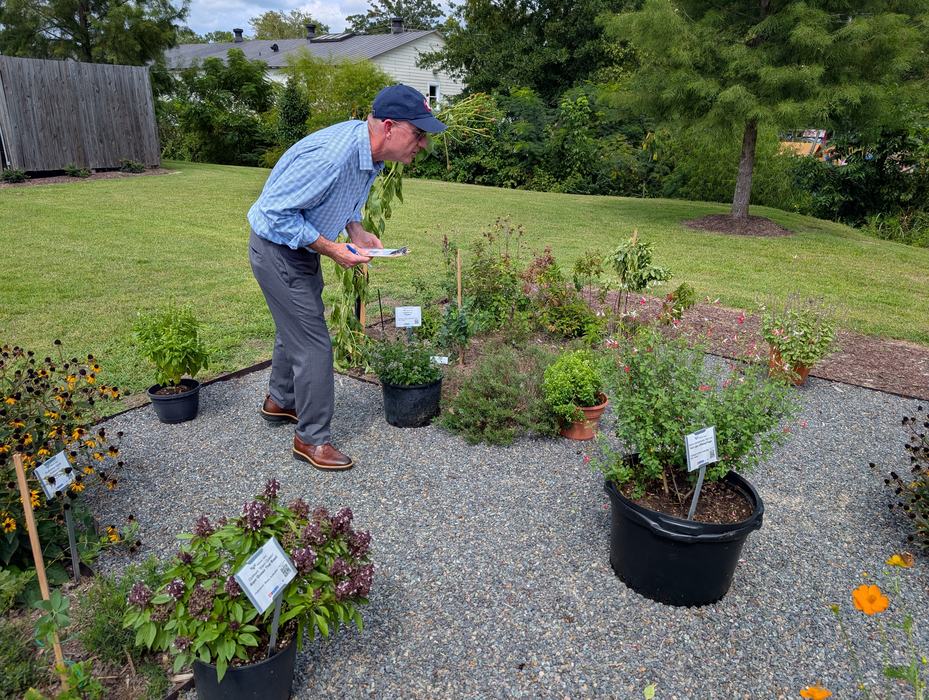 man counts insects during community science event