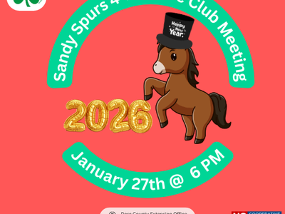 Horse Club Flyer with horse on it and 2026