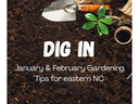 Dig In January and February Gardening Tips for eastern NC