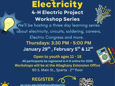 Magic of Electricity Flyer