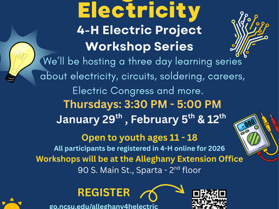 Magic of Electricity Flyer