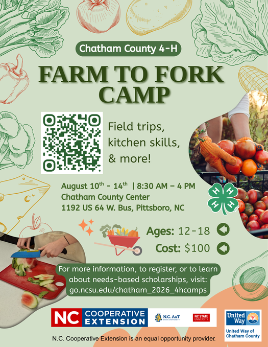 Farm to Fork Camp Flyer
