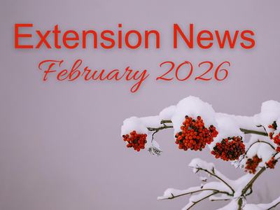 Tree with snow and berries