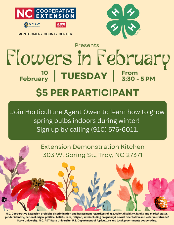 4-H Flowers in February flyer.
