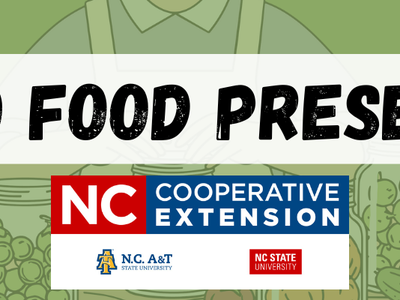 graphic with wording intro to food preservation