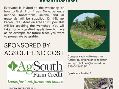 Grafting Fruit Tree Workshop — Feb 17 2026, 9 AM–Noon; Rockingham County Ag Center, Reidsville