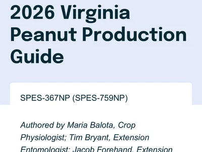 A screenshot from the 2026 Virginia Peanut Production Guide