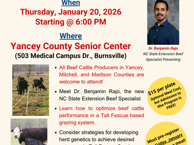 Yancey beef production meeting flyer