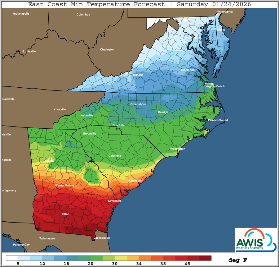 East Coast minimum temperature forecast map for Saturday 01/24/2026 with color legend (deg F)