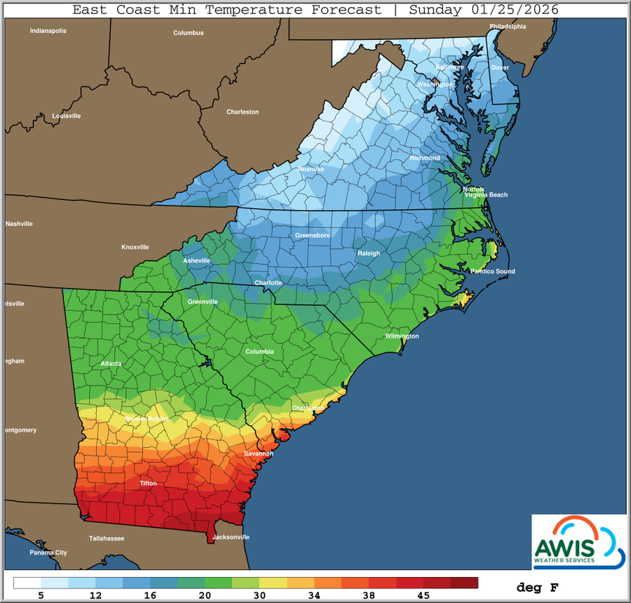 East Coast minimum temperature forecast map for Sunday 01/25/2026 with color scale in °F.