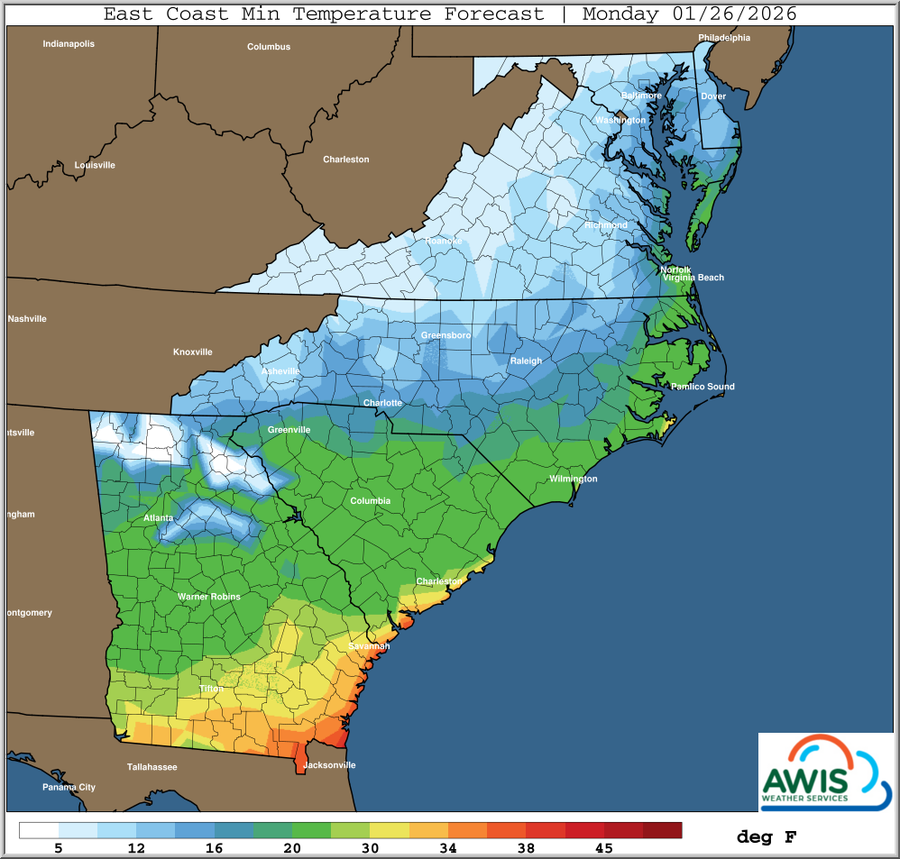 East Coast min temperature forecast map Monday 01/26/2026 with colorized temperatures (deg F)