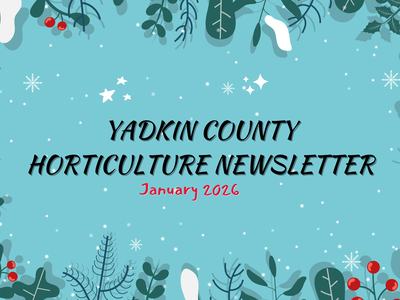 January Newsletter
