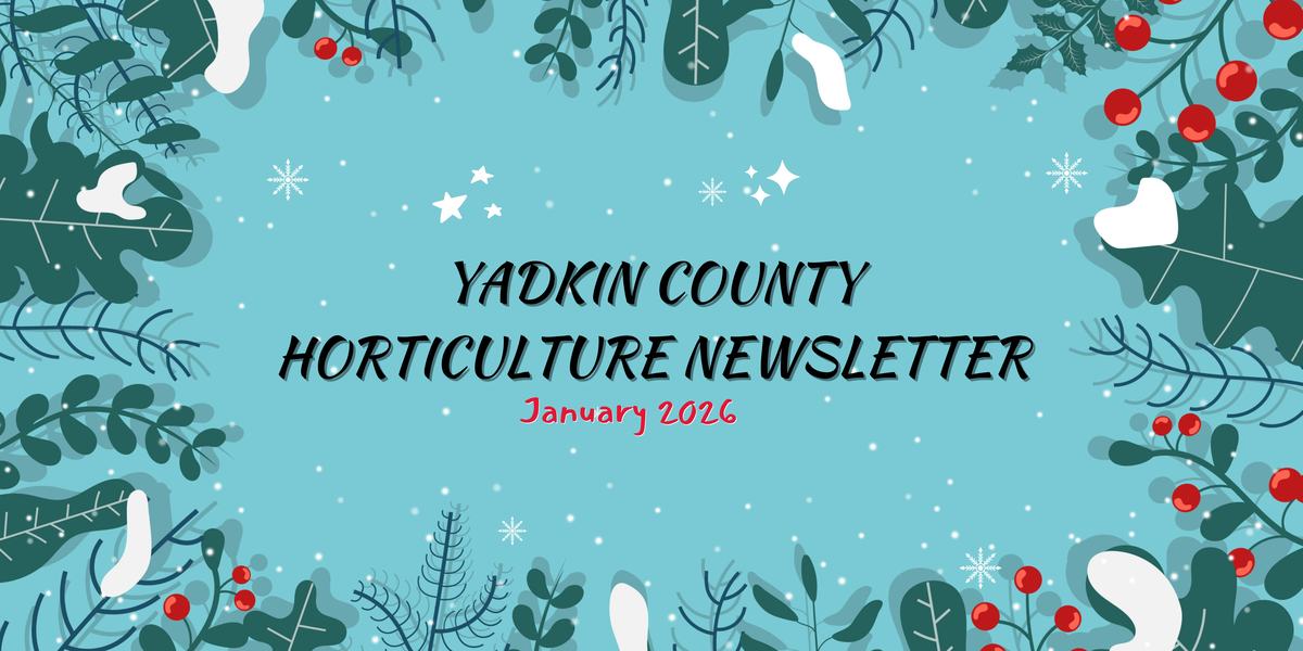 January Newsletter 