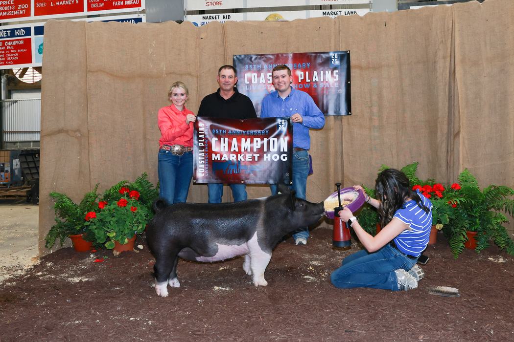 Three people hold "CHAMPION MARKET HOG" banner while a girl kneels feeding the pig