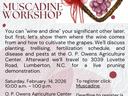 Muscadine workshop