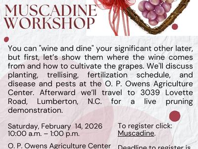 Muscadine workshop