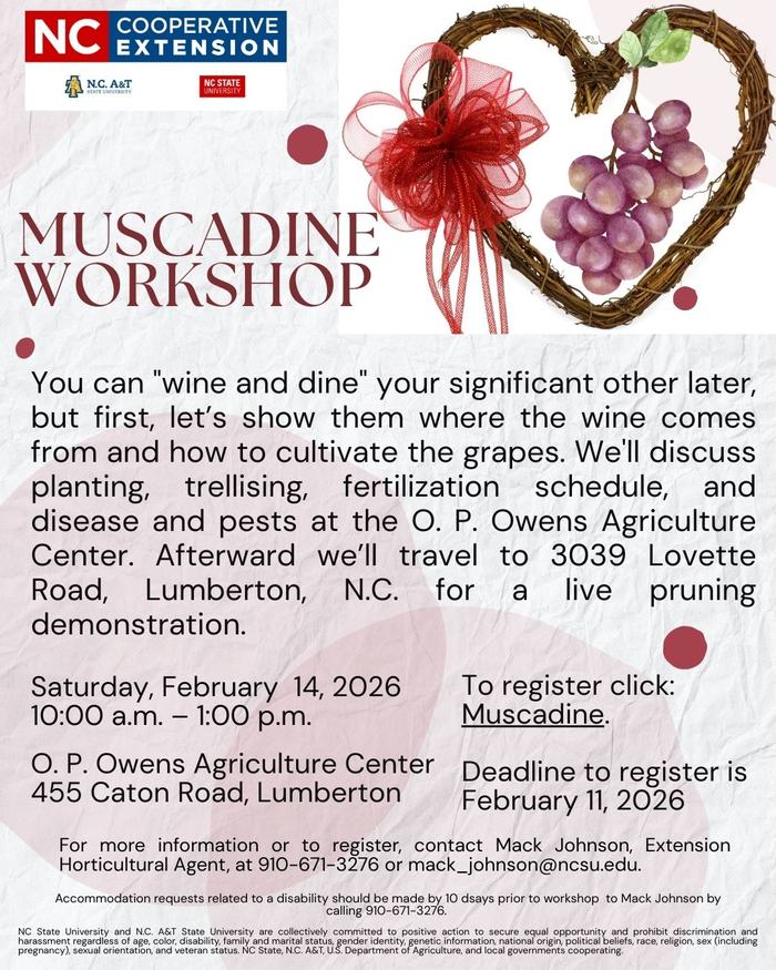 Muscadine workshop