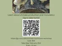 MUSHROOM WORKSHOP FLYER DATE, TIME, LOCATION AND REGISTRATION INFORMATION MUSHROOMS ON A LOG